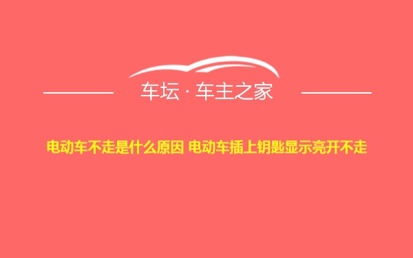 电动车不走是什么原因 电动车插上钥匙显示亮开不走