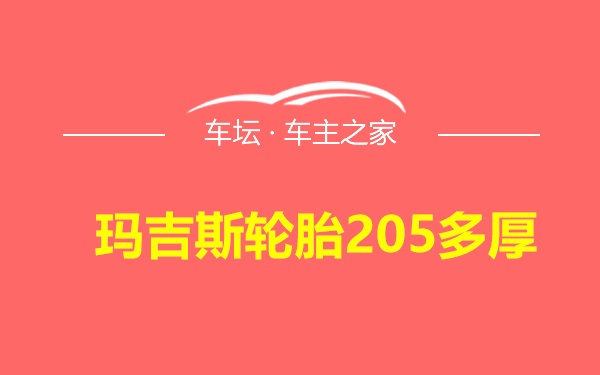 玛吉斯轮胎205多厚