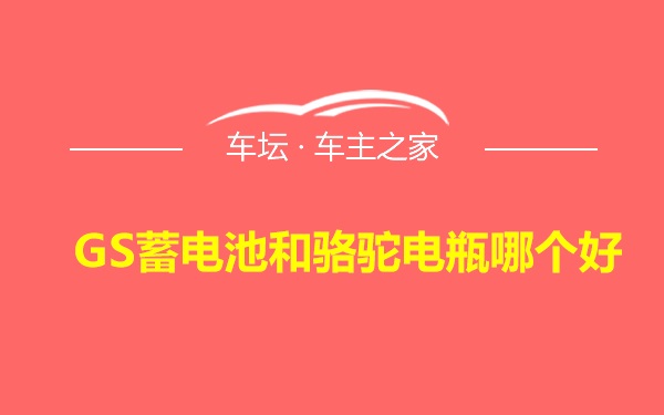 GS蓄电池和骆驼电瓶哪个好