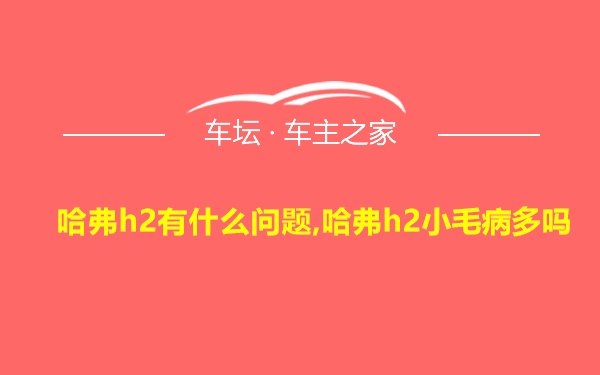 哈弗h2有什么问题,哈弗h2小毛病多吗