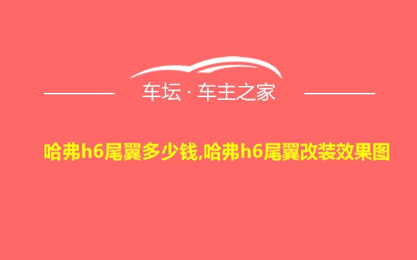 哈弗h6尾翼多少钱,哈弗h6尾翼改装效果图