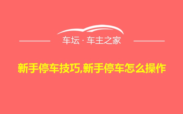 新手停车技巧,新手停车怎么操作