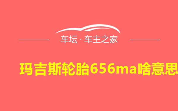 玛吉斯轮胎656ma啥意思