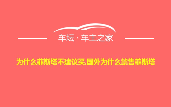 为什么菲斯塔不建议买,国外为什么禁售菲斯塔