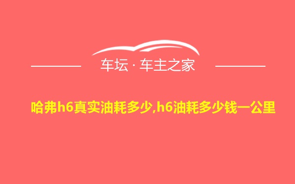 哈弗h6真实油耗多少,h6油耗多少钱一公里