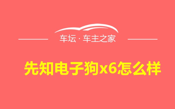 先知电子狗x6怎么样