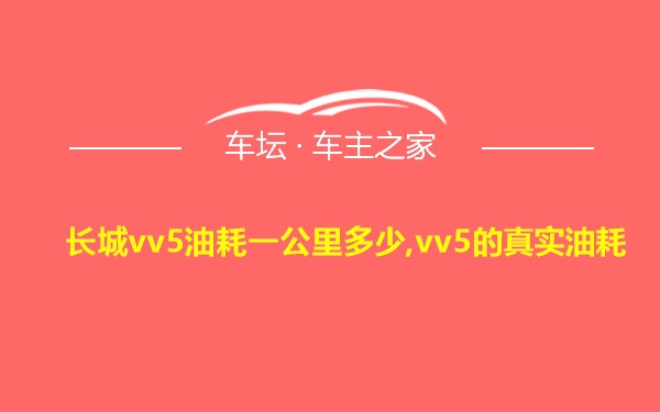 长城vv5油耗一公里多少,vv5的真实油耗