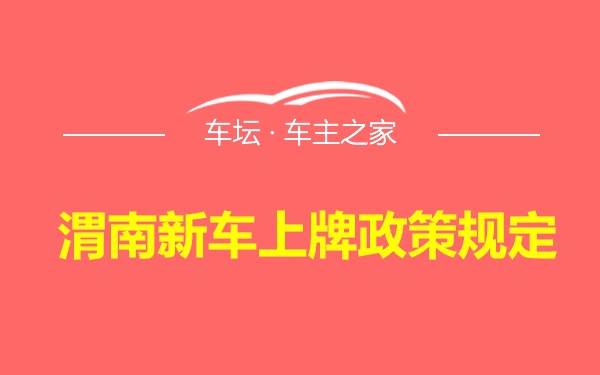 渭南新车上牌政策规定