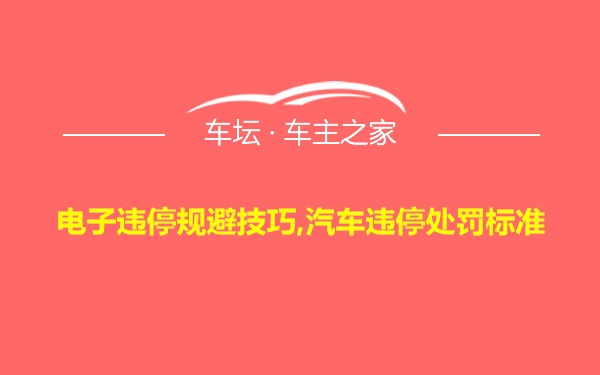 电子违停规避技巧,汽车违停处罚标准