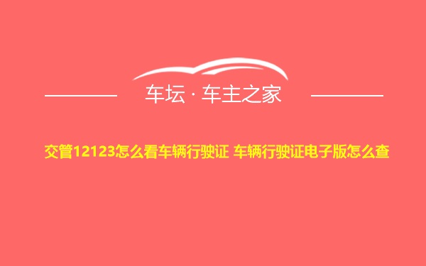 交管12123怎么看车辆行驶证 车辆行驶证电子版怎么查