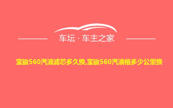 宝骏560汽油滤芯多久换,宝骏560汽油格多少公里换