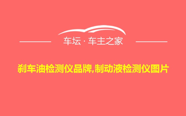 刹车油检测仪品牌,制动液检测仪图片