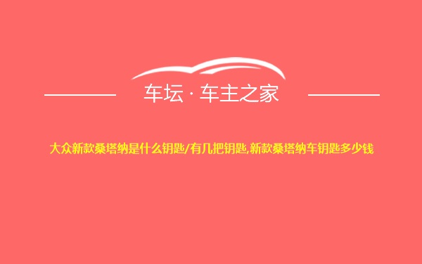 大众新款桑塔纳是什么钥匙/有几把钥匙,新款桑塔纳车钥匙多少钱