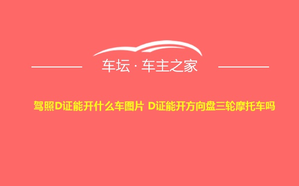 驾照D证能开什么车图片 D证能开方向盘三轮摩托车吗