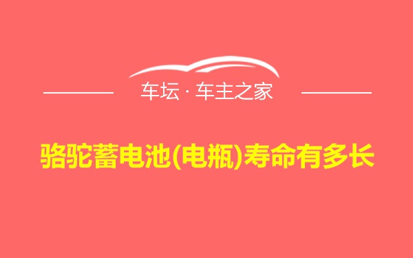 骆驼蓄电池(电瓶)寿命有多长