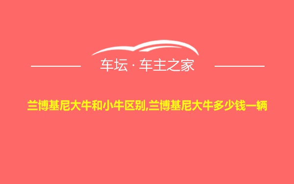 兰博基尼大牛和小牛区别,兰博基尼大牛多少钱一辆