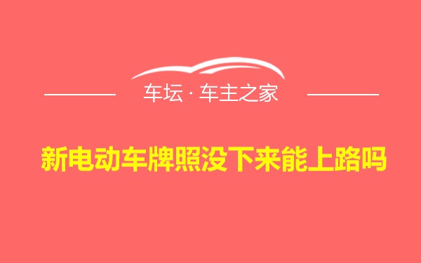 新电动车牌照没下来能上路吗