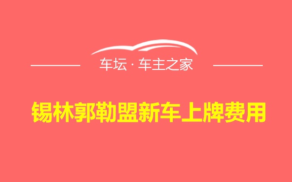 锡林郭勒盟新车上牌费用