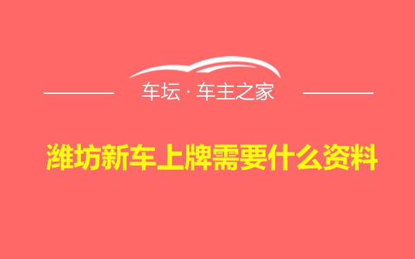 潍坊新车上牌需要什么资料