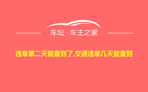 违章第二天就查到了,交通违章几天能查到