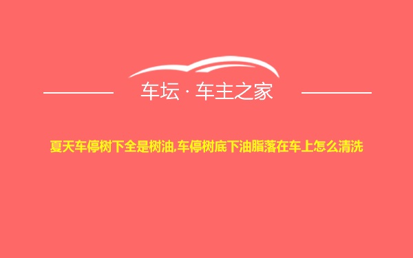 夏天车停树下全是树油,车停树底下油脂落在车上怎么清洗