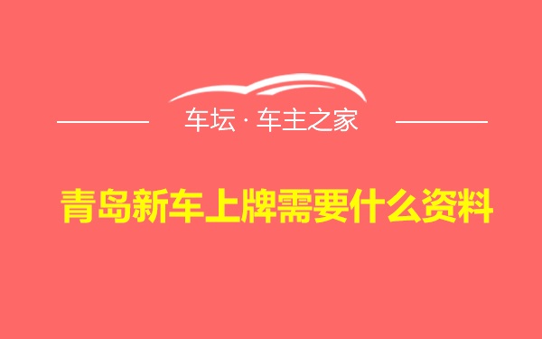 青岛新车上牌需要什么资料