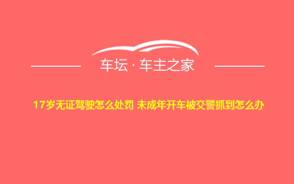 17岁无证驾驶怎么处罚 未成年开车被交警抓到怎么办