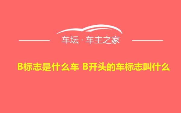 B标志是什么车 B开头的车标志叫什么