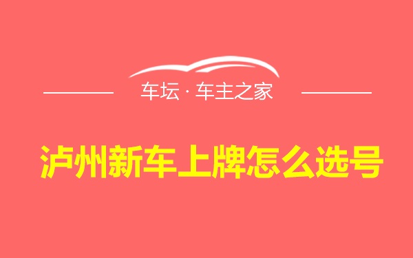 泸州新车上牌怎么选号