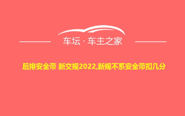 后排安全带 新交规2022,新规不系安全带扣几分