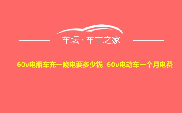 60v电瓶车充一晚电要多少钱 60v电动车一个月电费