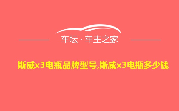 斯威x3电瓶品牌型号,斯威x3电瓶多少钱