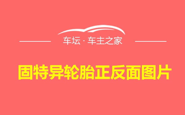 固特异轮胎正反面图片