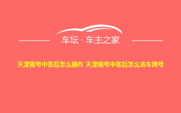 天津摇号中签后怎么操作 天津摇号中签后怎么选车牌号