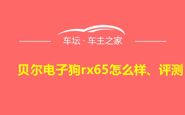 贝尔电子狗rx65怎么样、评测