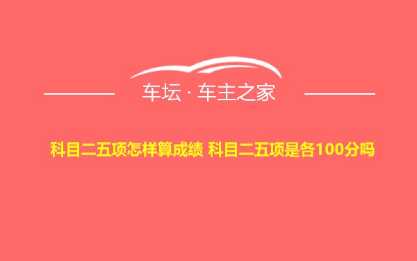 科目二五项怎样算成绩 科目二五项是各100分吗