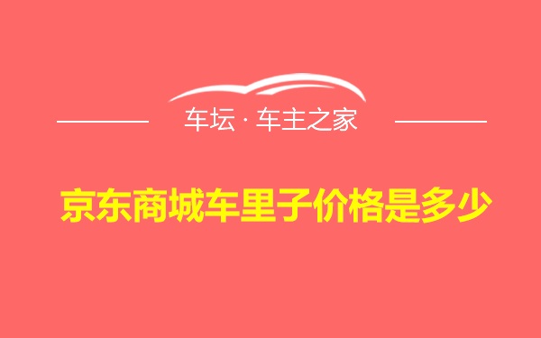 京东商城车里子价格是多少