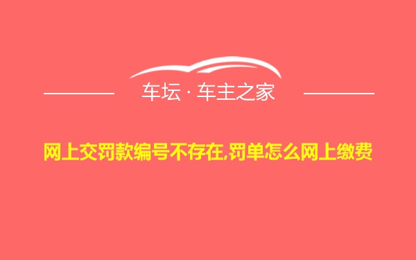 网上交罚款编号不存在,罚单怎么网上缴费