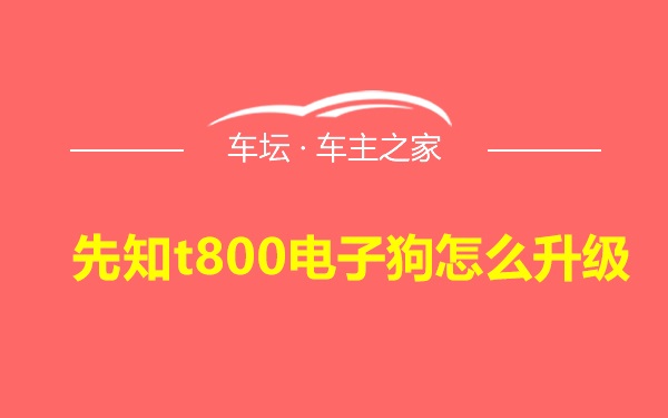 先知t800电子狗怎么升级