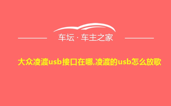 大众凌渡usb接口在哪,凌渡的usb怎么放歌