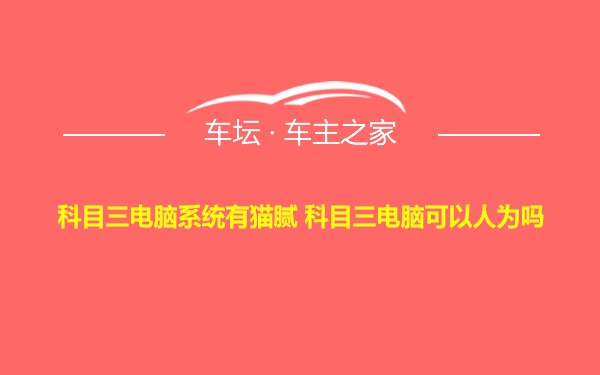 科目三电脑系统有猫腻 科目三电脑可以人为吗