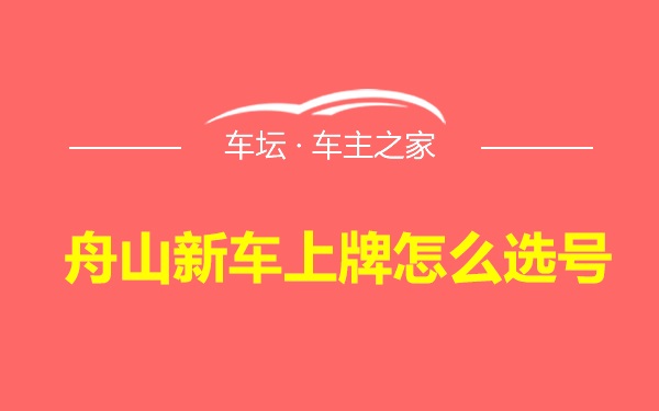 舟山新车上牌怎么选号