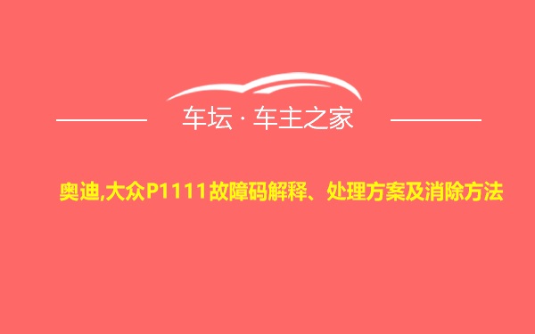 奥迪,大众P1111故障码解释、处理方案及消除方法