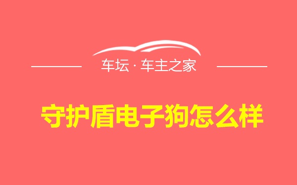 守护盾电子狗怎么样