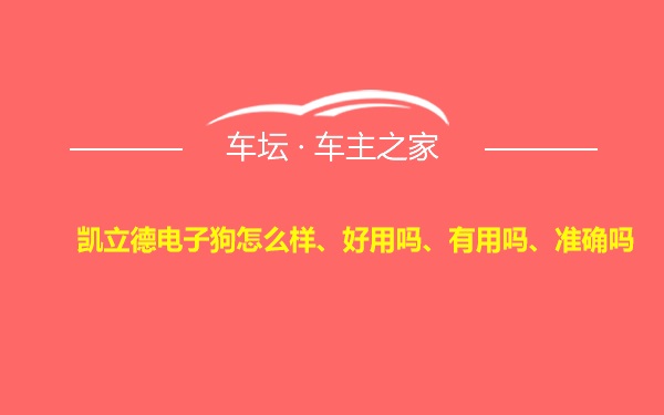 凯立德电子狗怎么样、好用吗、有用吗、准确吗