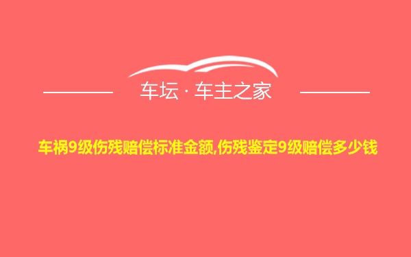 车祸9级伤残赔偿标准金额,伤残鉴定9级赔偿多少钱