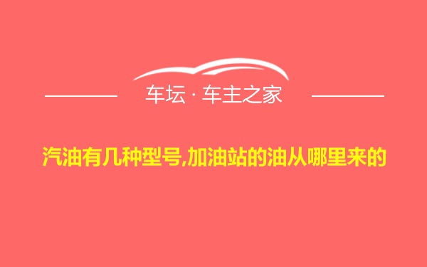 汽油有几种型号,加油站的油从哪里来的