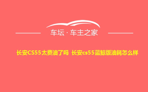 长安CS55太费油了吗 长安cs55蓝鲸版油耗怎么样