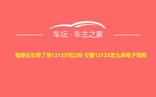 驾驶证忘带了用12123可以吗 交管12123怎么弄电子驾照