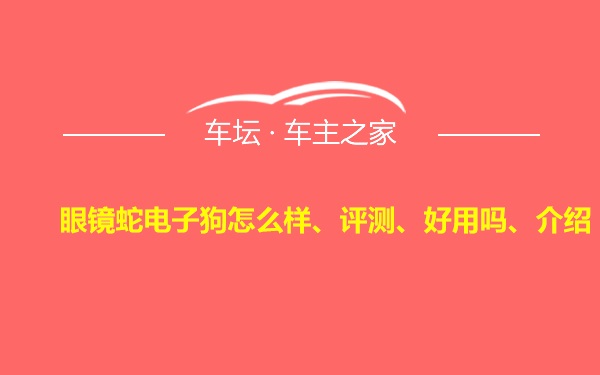 眼镜蛇电子狗怎么样、评测、好用吗、介绍